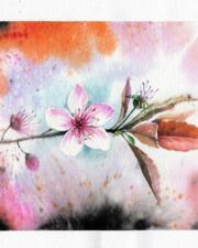 Aquarelschilderen