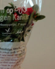 Plantjesweek 'Kom op tegen kanker'