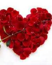 Valentijnsfeest met Dany Van Acker