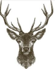 special menu : 'Wild'
