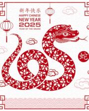 special menu : 'Chinees Nieuwjaar'