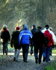 Wandelen in de natuur