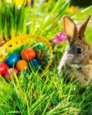 Paasfeest met Paul Van Dessel