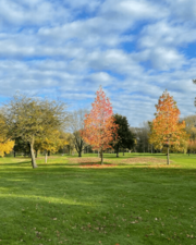 Infosessie "Natuur brengt rust, ervaar het mee"