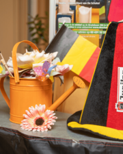 Reis rond de wereld: België