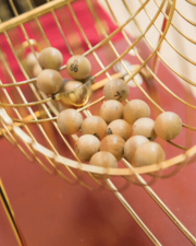 Bingo Onder Ons