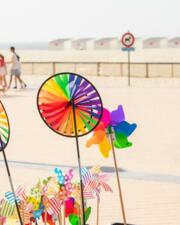 Midweek naar Oostende: Vayamundo