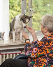 Aaihond Lex komt langs