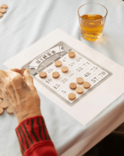 Bingo sjoelclub "De Vinkskes"