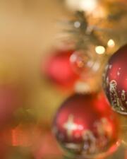 Kerstmarkt Bloemenveld