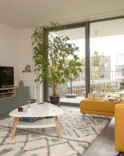 30/07/26 Infosessie assistentiewoningen Groen Zuid & Zilverlinck in 2660 Hoboken