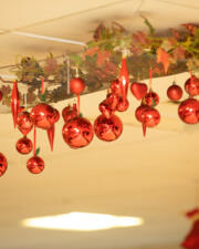 Daguitstap Winterland Hasselt