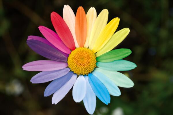 Opleiding tegen racisme, discriminatie en intimidatie